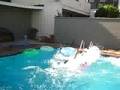 Alias Means Hits The Pool