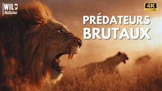 Prédateurs Brutaux – La Lutte Implacable pour la Survie | Documentaire Animalier