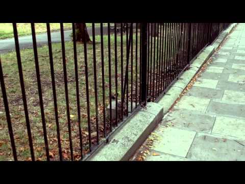 Written On The Sky - Sony FS100 Test Footage