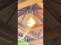 Removing a giant wasp nest with fire｜إزالة عش دبابير ضخم بالنار