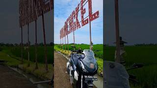 Download lagu Pemandangan Sawah Subak Bengkel Tabanan Bali Indonesia #tabanan #bali #indonesia #ride #explore mp3