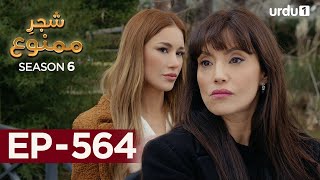 Shajar-e-Mamnu | Episode 564 | Turkish Drama  | Forbidden Fruit | Urdu Dubbing | 26th June 2023 |