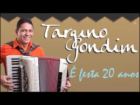 TOP 25 -  Grandes Sucessos  de Targino Gondim - Forró Pé de Serra