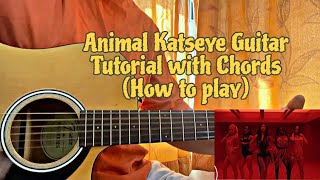 Animal - Katseye // Easy Guitar Tutorial with Chords (How to play)