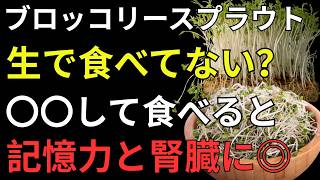 60代必見！ブロッコリースプラウトNG習慣3選 | 人生の知恵