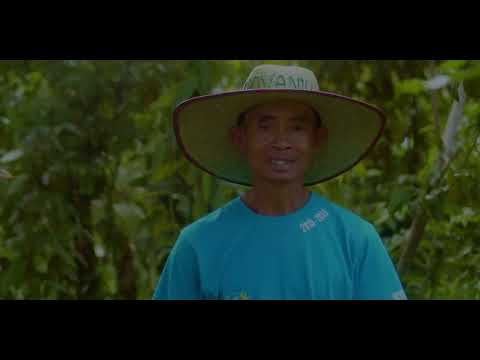 Choose Madagascar Vanilla By Biovanilla