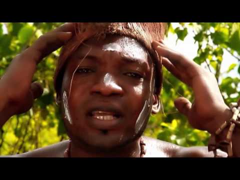 sergini le rossignol banen