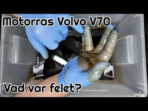 Volvon har rasat, men vad orsakade raset och vad nu?