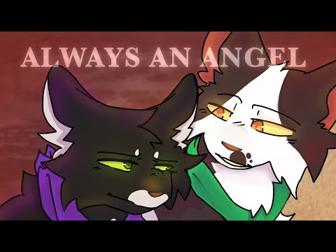 Always an angel(Warrior cats PMV)