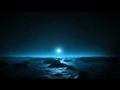 JAIME JAKSIC ENZO - YO