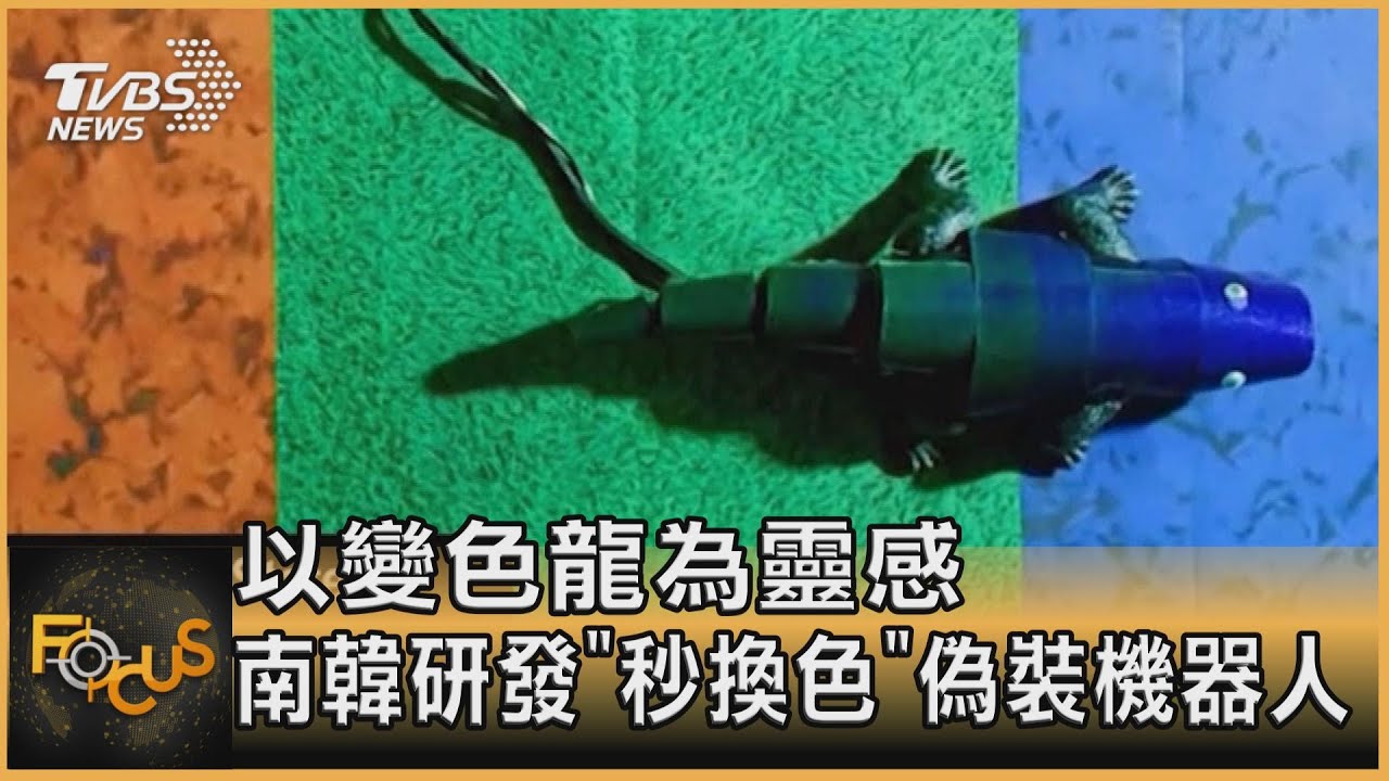 以變色龍為靈感 南韓研發「秒換色」偽裝機器人