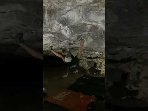 Hank's Left v7 Gus Fruh