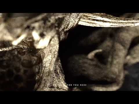 Video thumbnail for No Place for You Here