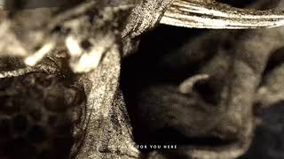 No Place for You Here Music Video