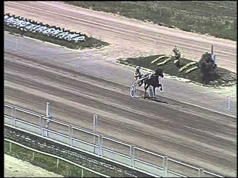 Trotto 11/06/2015 -  prova di qualifica