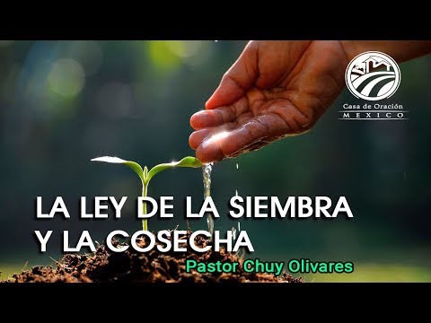 Chuy Olivares - La ley de la siembra y la cosecha