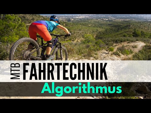 DARUM stürzen Mountainbiker, stagnieren und sind frustriert! | Die MTB-Fahrtechnik Pyramide