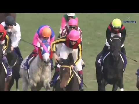 2010 Japan Cup G1 - Rose Kingdom (玫瑰帝國) - Y.Take (過終點頭馬迷人景致因阻及玫瑰帝國賽後抗議成立貶為第二)