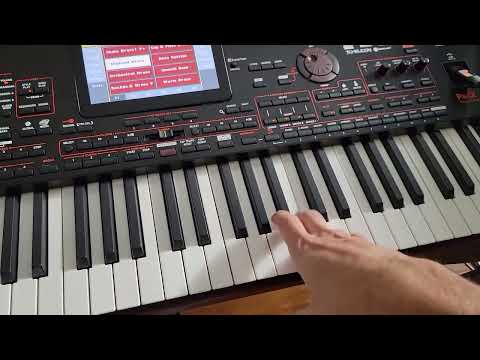 KORG PA4X OVERVIEW AND REVIEW. FIRST IMPRESSION. Buttons. Style Demos.