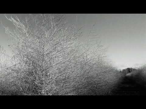 Markus Guentner - Das Vergessene