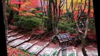 Nanzen ji Bruce Cockburn  my personal rendering