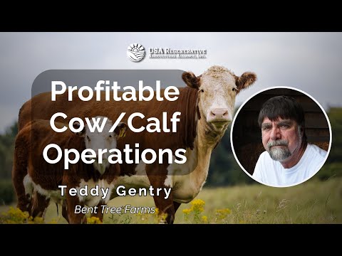 Teddy Gentry's Guide to Profitable Cow/Calf Operations