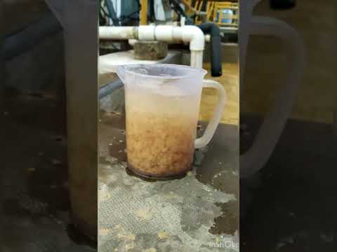 Coagulant powder cpx