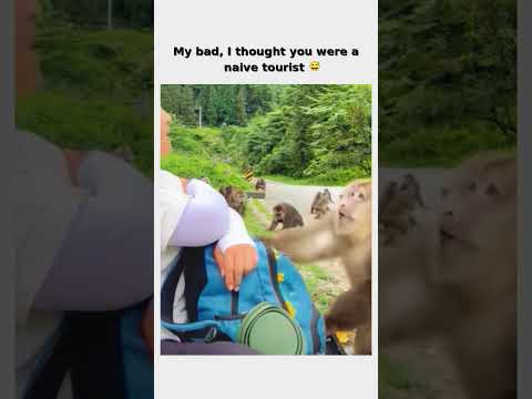 Bro used the wrong strategy 😂 follow for more #shorts