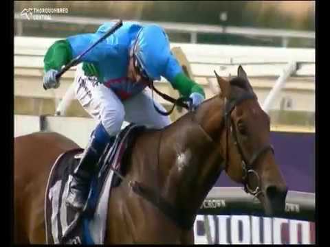 2016 Racing W A  Peters'  Investments Kingston Town Classic