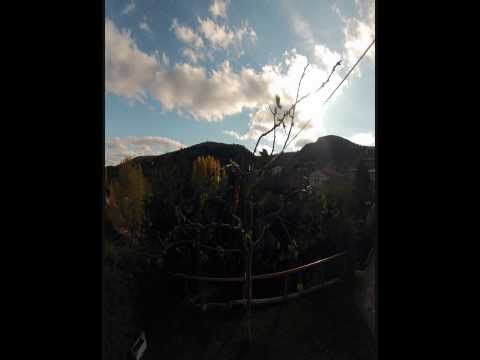 bells protus Pinilla de los barruecos