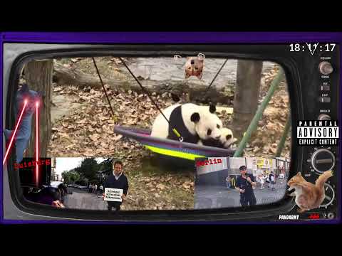 NWO erklärt internationalen Dummheits-Notstand. Querdenker verstehen trotzdem nichts.