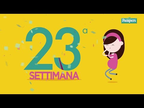Ecografia o risonanza magnetica del ginocchio Ha rotto il gomito