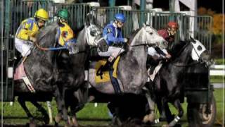 GRUPO LABERINTO -EL CABALLO DEL PANTANAL.mpg
