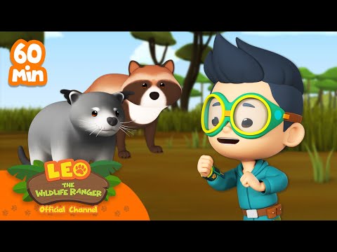 Witness21  2023 06 25