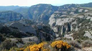 die Flippers Maria la Catalania