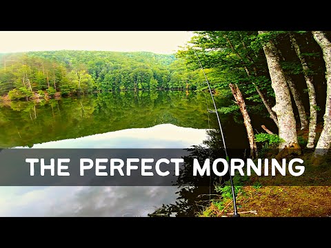 THE PERFECT MORNING ... fishing a beautiful lake for chub and perch ...