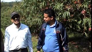 Apple Garden long island sound ave.