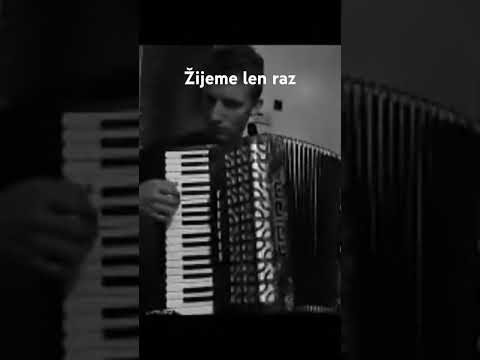 EGO & Robert Burian - Žijeme len raz accordion cover #ego #zijemelenraz #robertburian #accordion