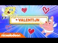 Wie is NIENKE'S GEHEIME AANBIDDER? ?☁️? | WIST-JE-DATJE | Nickelodeon Nederlands