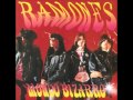 Touring - Ramones 