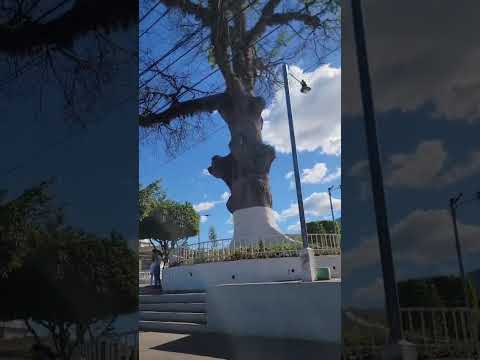 San Cayetano Istepeque 2026 01 16 at 20 09 32