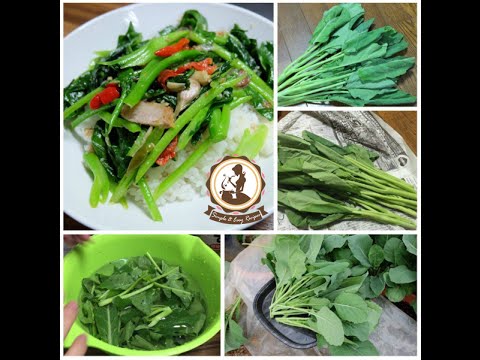 การลดลงของการติดเชื้อแรง เพิ่มสมาชิกได้อย่างมีประสิทธิภาพ