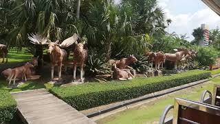preview picture of video 'My visit to nong nooch botenical garden pattaya Thailand'