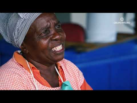 Grupo Piñero Memoria de Sostenibilidad 2023