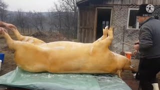 PORK CUTTING SKILLS....#European technique..please subscribe and share..