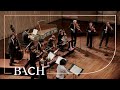 Bach - 'Brandenburg' Concerto no. 3 in G major BWV 1048 - Sato | Netherlands Bach Society