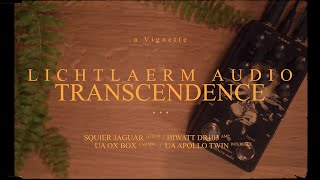 Video thumbnail for An Ambient Reverb Like No Other - Lichtlaerm Audio Transcendence Otherwordly Reverb | Vignette Demos by dots.sounds