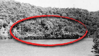 Dutch ship that camouflaged itself as an island during WW2