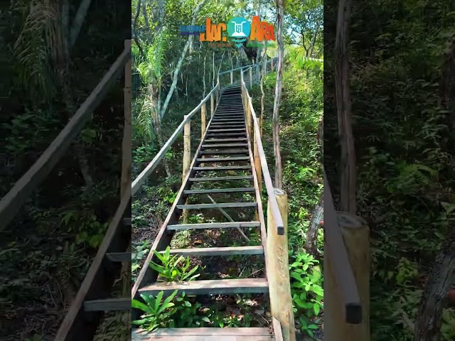 Complexo do Rio Fortaleza FIT