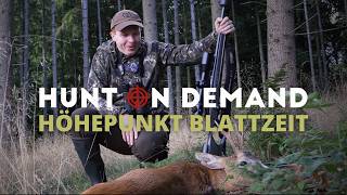 Höhepunkt Blattzeit in Mecklenburg Vorpommern - Teil 1 von@jagdkrone